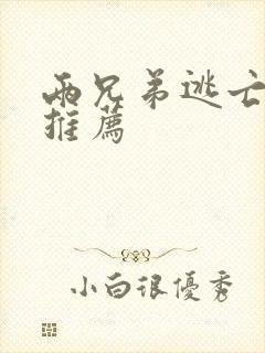 两兄弟逃亡电影推荐