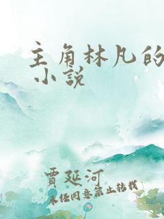 主角林凡的小说 小说