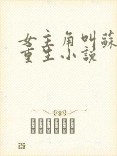 女主角叫苏禾的重生小说