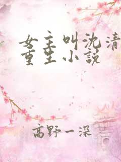 女主叫沈清宁的重生小说