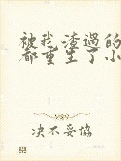 被我渣过的男主都重生了小说