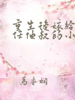 重生后嫁给了前任他叔的小说