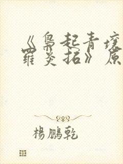 《枭起青壤聂九罗炎拓》原版小说