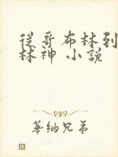 从哥布林到哥布林神 小说