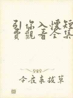 引你入怀短剧免费观看全集高清