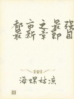 都市之最强狂兵最新章节目录