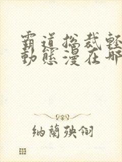 霸道总裁轻点爱动态漫在哪里免费看