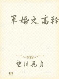 军婚文高干文