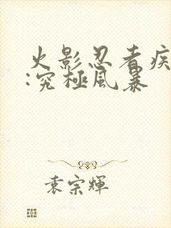 火影忍者疾风传:究极风暴