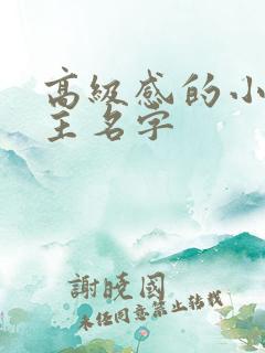 高级感的小说女主名字