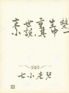 末世重生双男主小说,其中一个男主是丧尸王