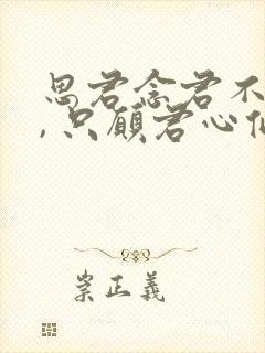 思君念君不见君, 只愿君心似我心