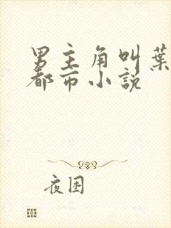 男主角叫叶昊的都市小说