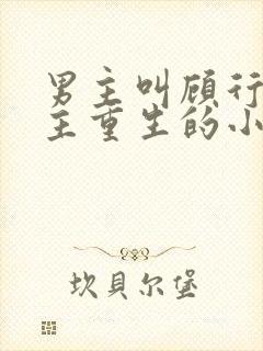 男主叫顾行渊女主重生的小说