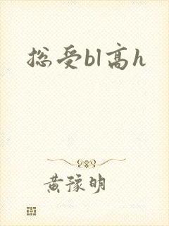 总受bl高h
