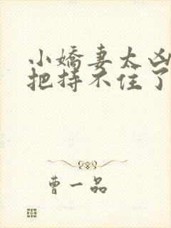 小娇妻太凶陆爷把持不住了短剧全集免费观看