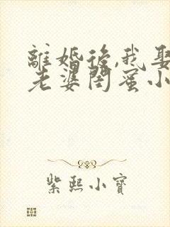 离婚后,我娶了老婆闺蜜小说阅读全文