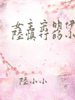 女主宋明伊男主陆慎行的小说