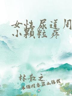 女性尿道周围长小颗粒疼