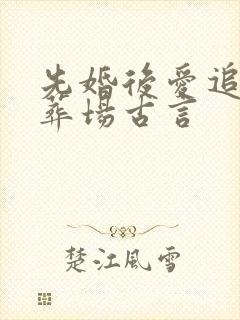 先婚后爱追妻火葬场古言