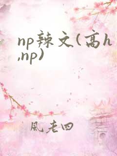 np辣文(高h,np)