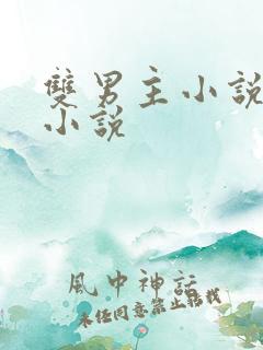 双男主小说古言小说