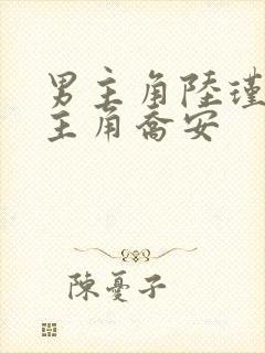 男主角陆瑾年女主角乔安