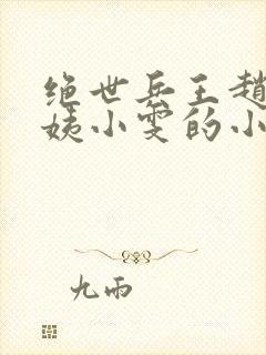 绝世兵王赵强芳姨小雯的小说