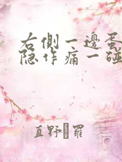 右侧一边蛋蛋隐隐作痛一碰就疼