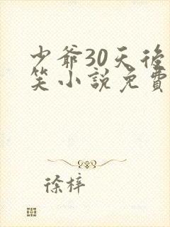少爷30天后会笑小说免费全本