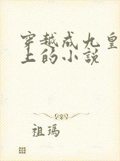 穿越成九皇子身上的小说