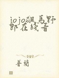jojo飙马野郎在线看