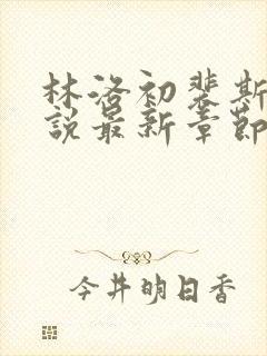 林洛初裴斯瑾小说最新章节更新内容