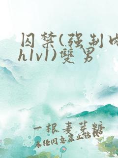 囚禁(强制肉高h1v1)双男