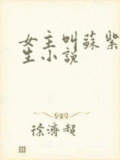 女主叫苏紫的重生小说