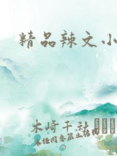 精品辣文小说网