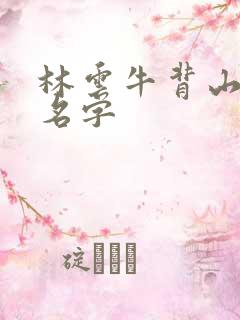 林云牛背山小说名字