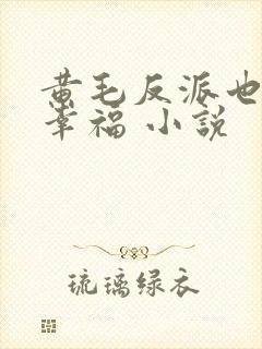 黄毛反派也想要幸福 小说