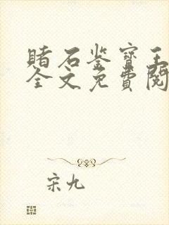 赌石鉴宝王小说全文免费阅读