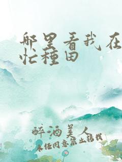 哪里看我在冷宫忙种田