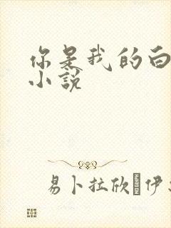 你是我的白月光小说