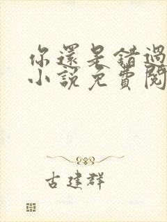 你还是错过我了小说免费阅读