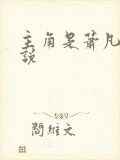 主角是萧凡的小说