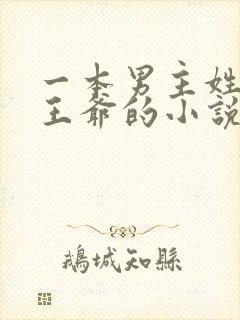 一本男主姓萧是王爷的小说