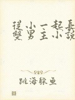 从小一起长大的双男主小说推荐