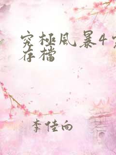 究极风暴4完美存档