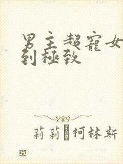 男主超宠女主宠到极致