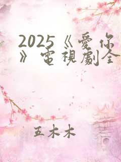 2025《爱你》电视剧全集
