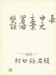 双男主中长篇小说海棠文