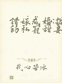 错嫁成婚:总裁的私宠甜妻 短剧